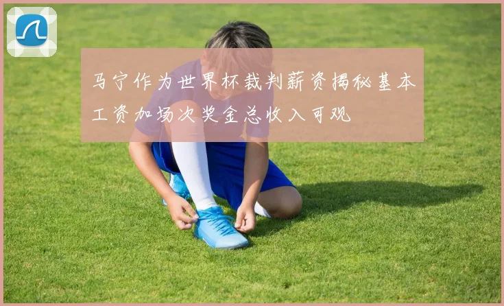 马宁作为世界杯裁判薪资揭秘基本工资加场次奖金总收入可观
